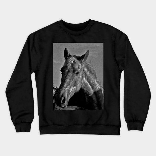 Milo Crewneck Sweatshirt by Ladymoose